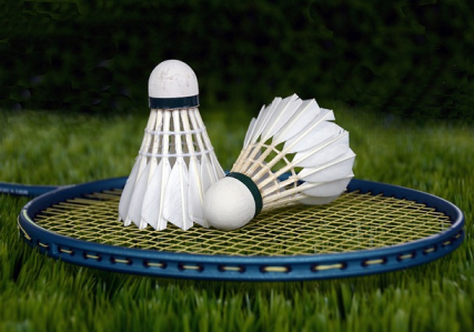 Desafio Supremo de Badminton