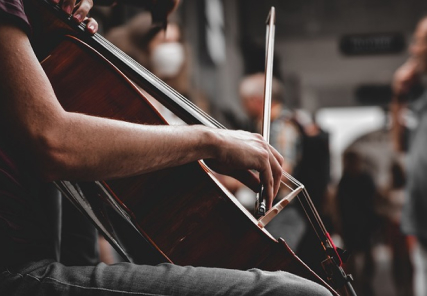 Desvendando o Violoncelo