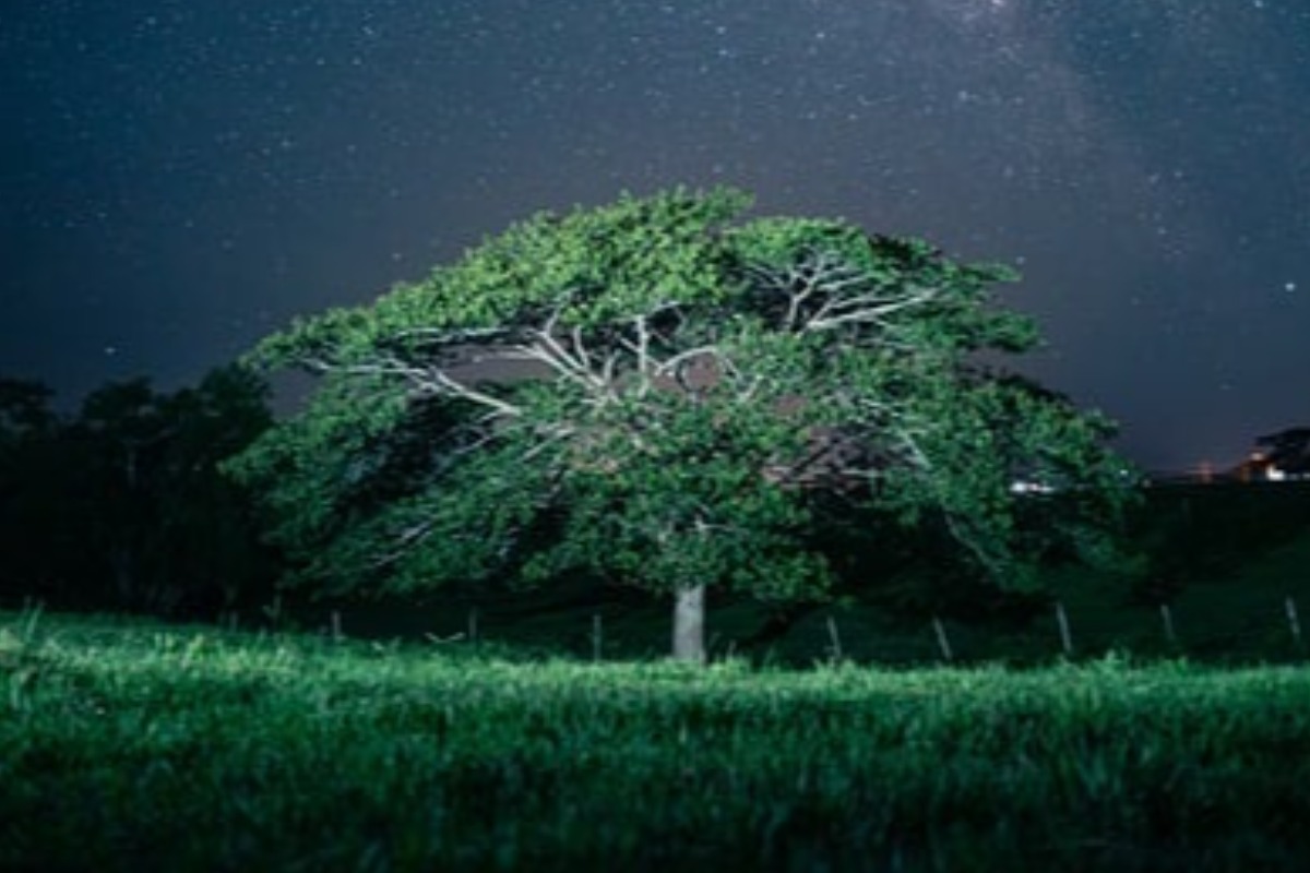 Teste Sua Inteligência: Quiz de Conhecimentos Gerais