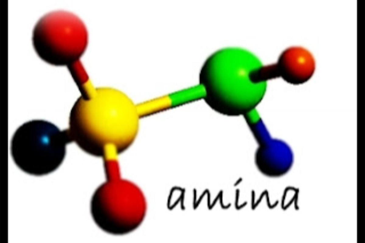 Animas