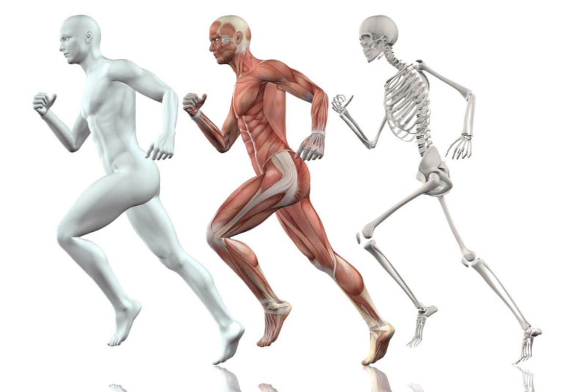 Você Realmente Conhece O Seu Corpo? no Quiz do Dia