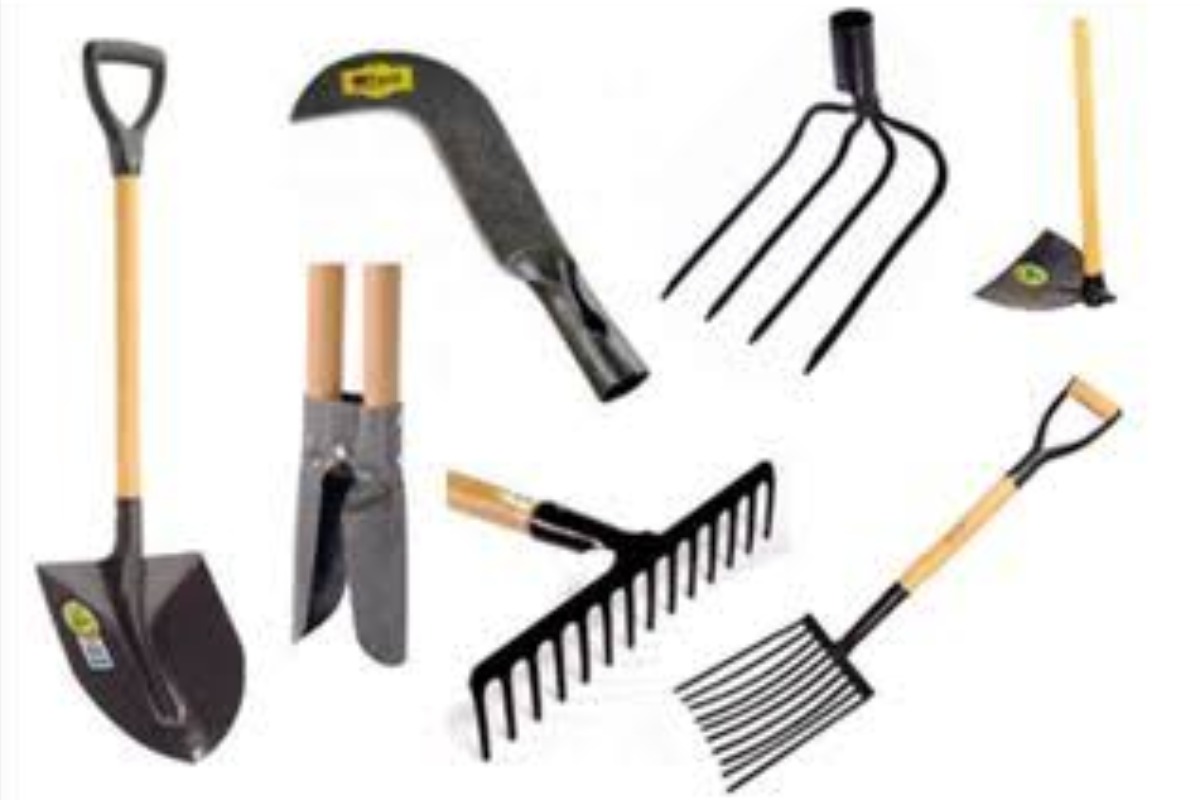 Você Reconhece Essas Ferramentas Agrícolas? no Quiz do Dia