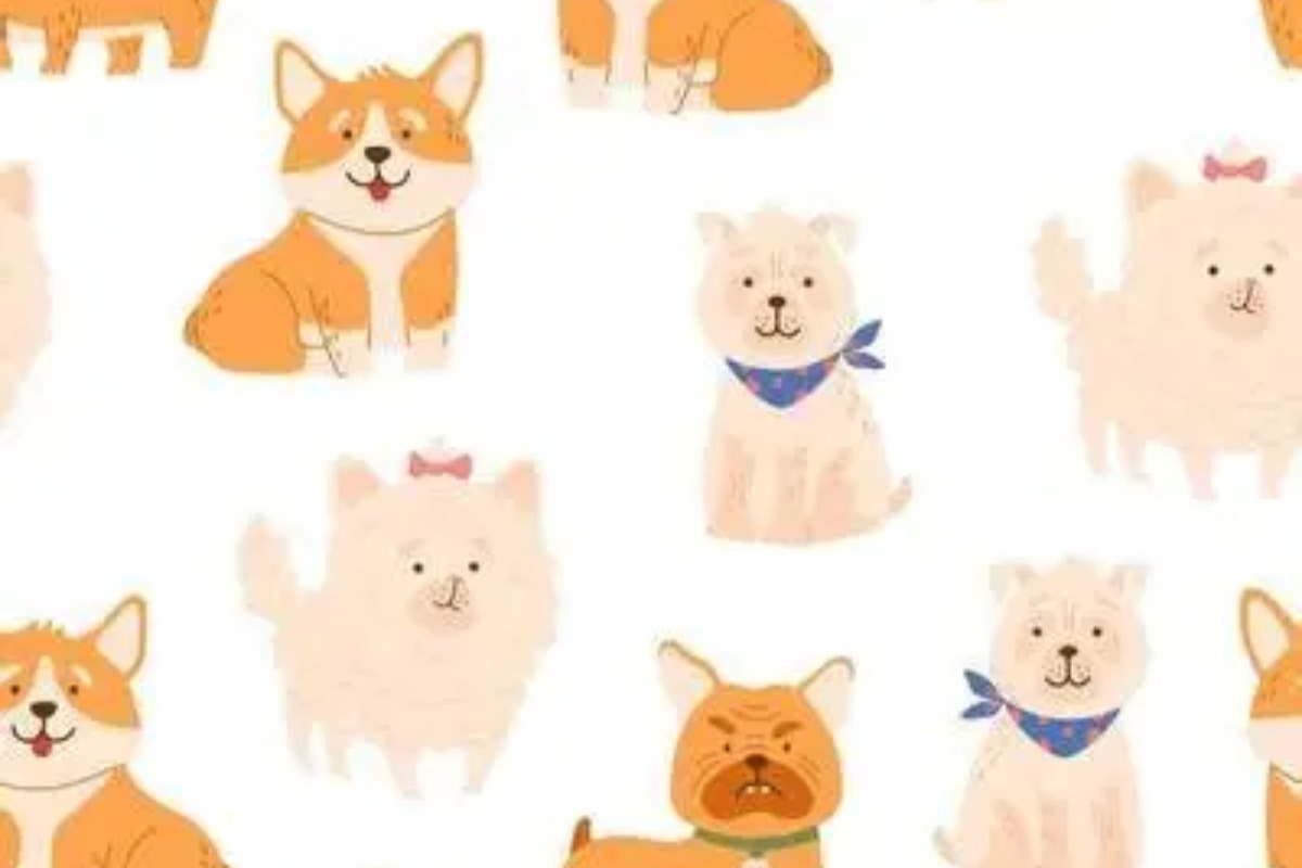 Quiz Inglês: Quanto Você Sabe?