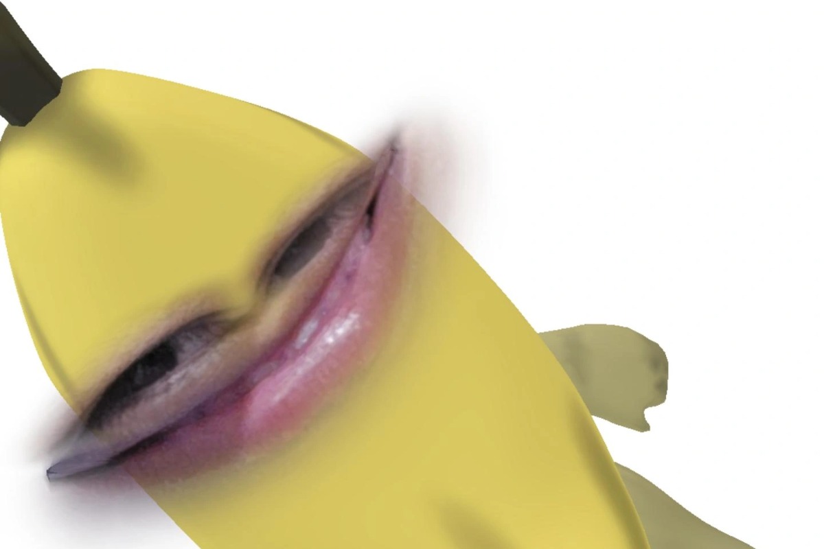 Sobre mim no Quiz do Dia