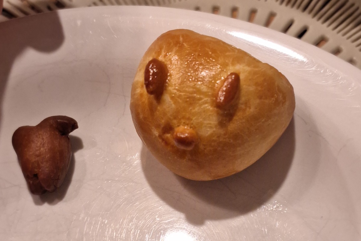 Eu bby no Quiz do Dia