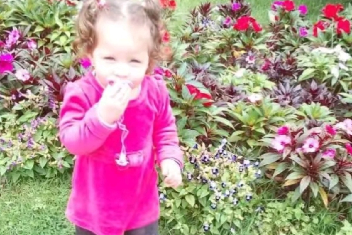 Quiz da landwoigt😔☝🏻 no Quiz do Dia