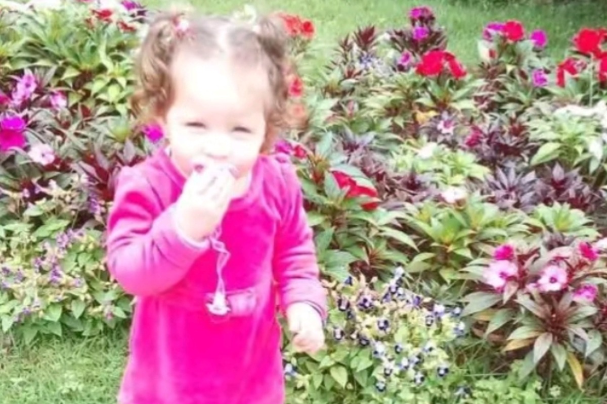 Quiz da landwoigt😔☝🏻 no Quiz do Dia