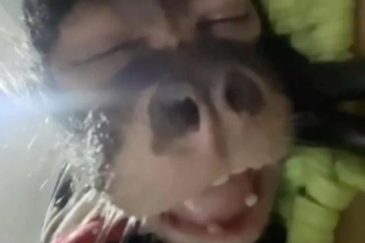 quem mi conhece mais no Quiz do Dia