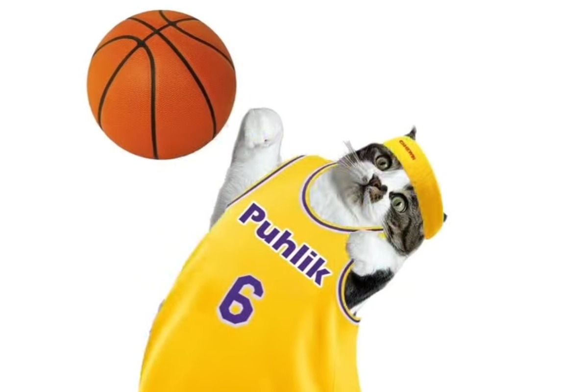 Você realmente me conhece? no Quiz do Dia