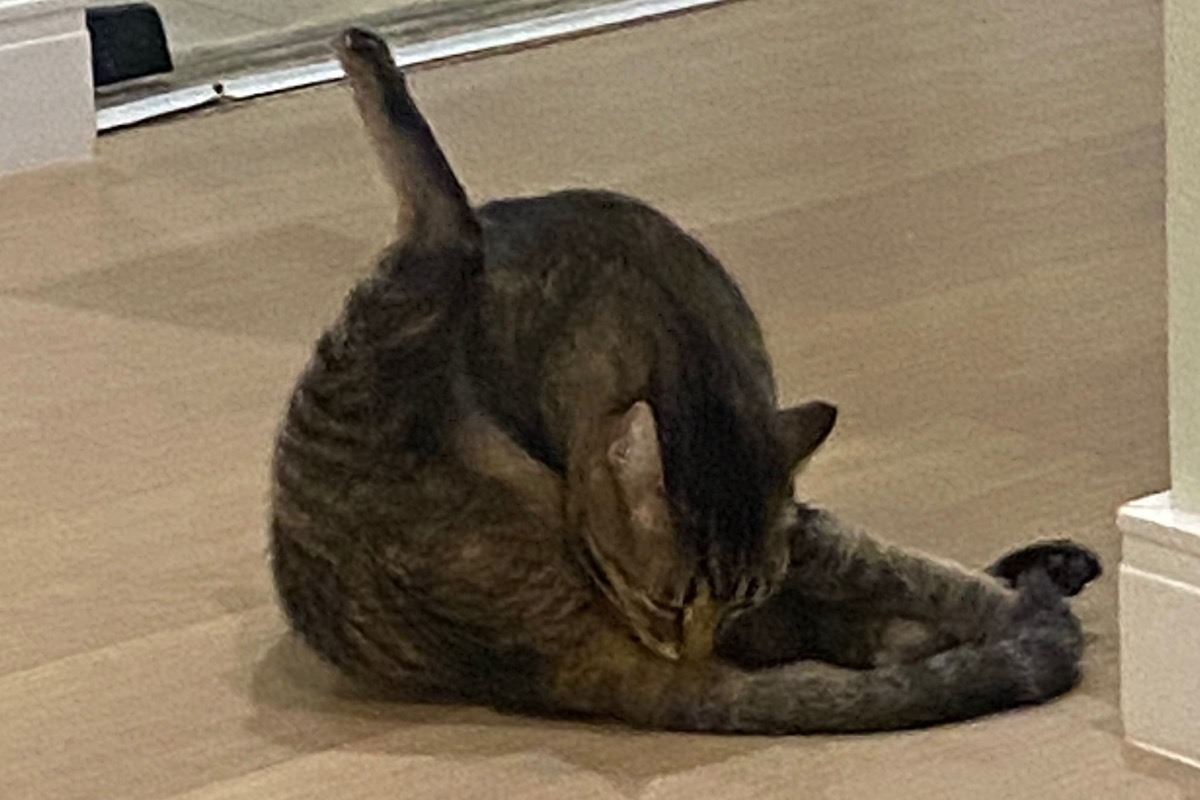 Será que você realmente me conhece?