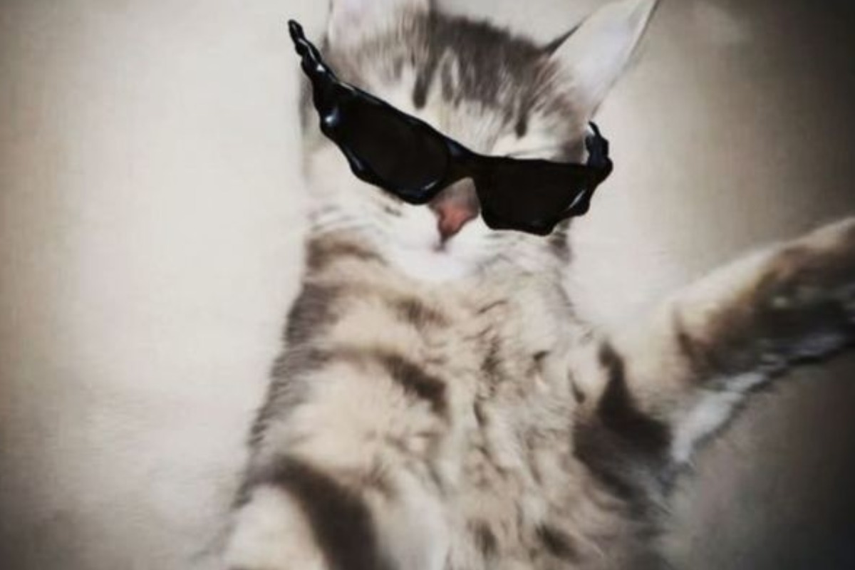 Você realmente me conhece? no Quiz do Dia