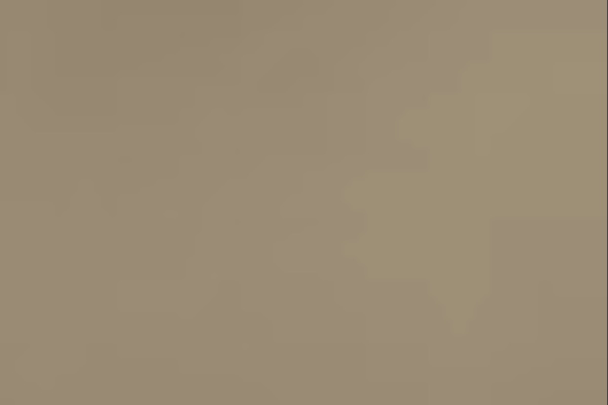 quizz da duda no Quiz do Dia