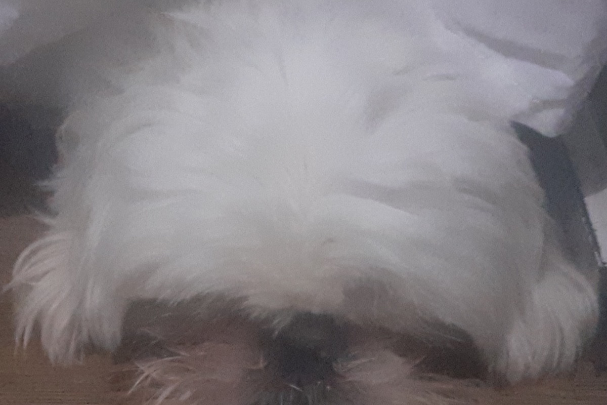 Quem me conhece mais