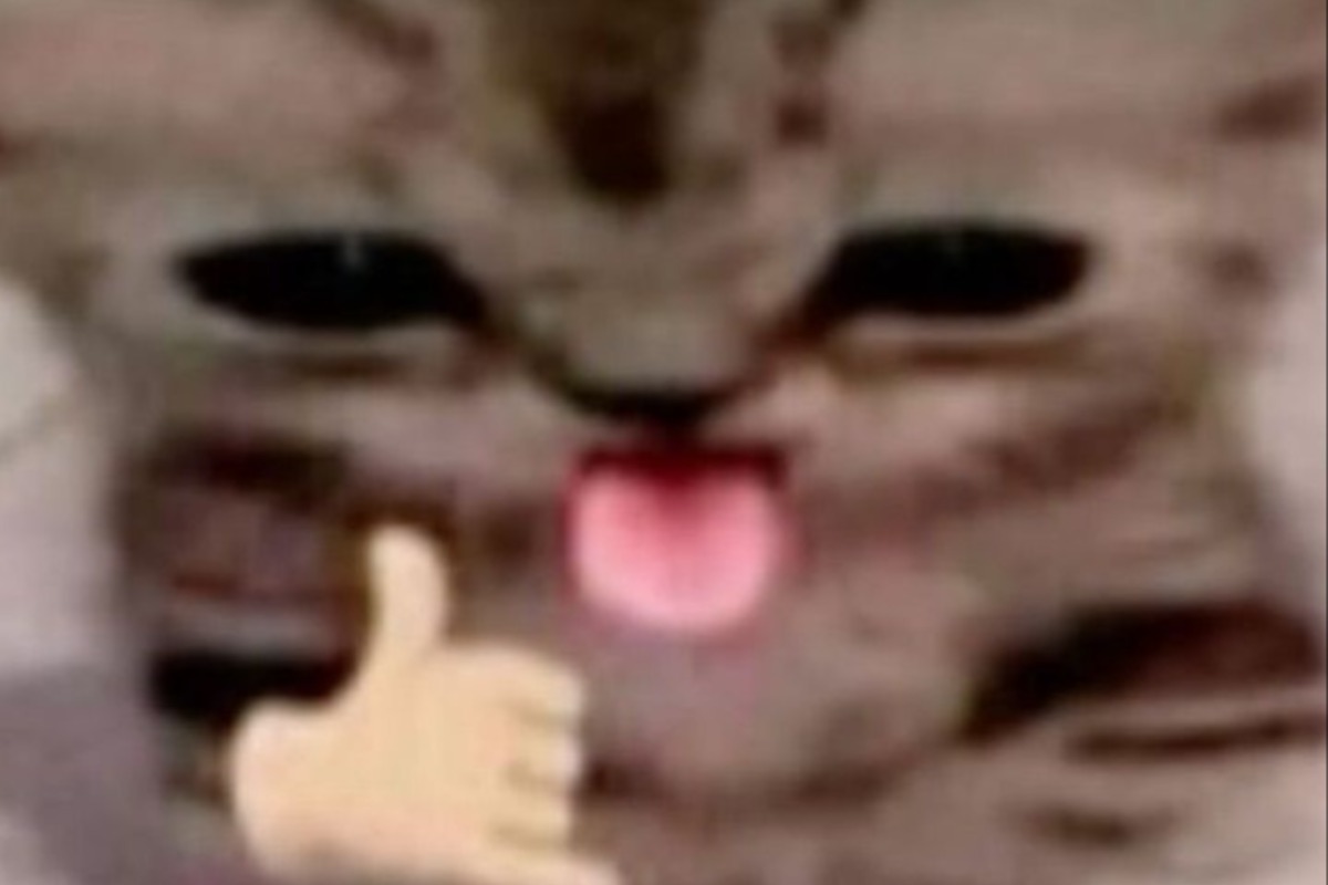 Você realmente me conhece?