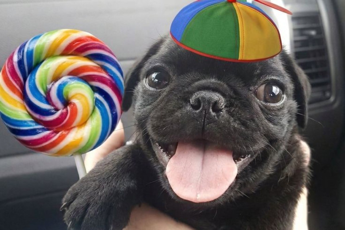 Você realmente me conhece?