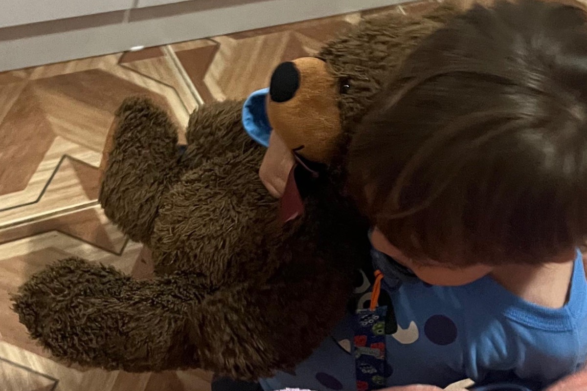 Você realmente conhece a Loris?