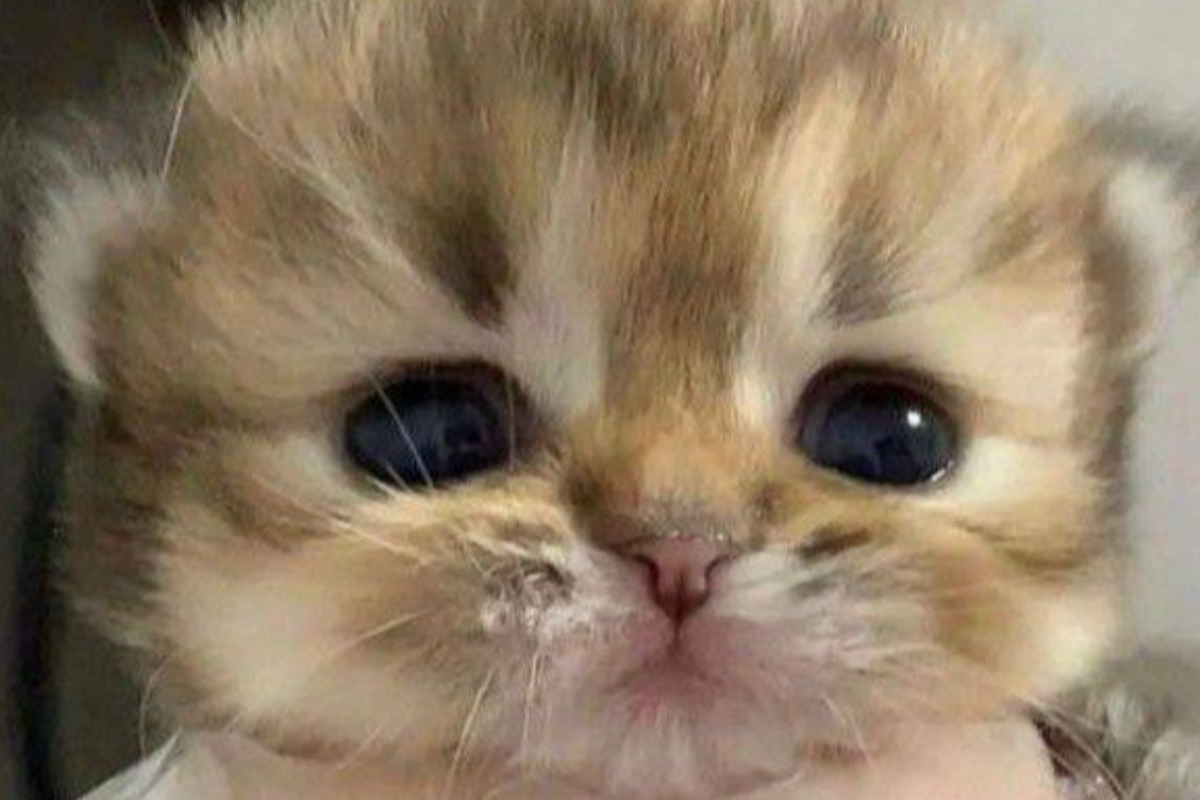 realmente me conhece blessed?